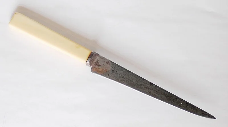 Hattori HD Series Gyuto 210mm