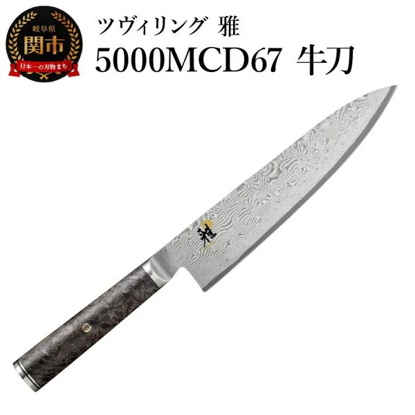 Miyabi Birchwood SG2 Gyuto 200mm
